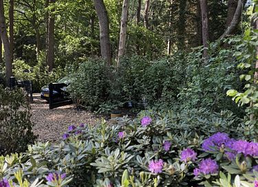 Boshuis met wellness in Drenthe - 33