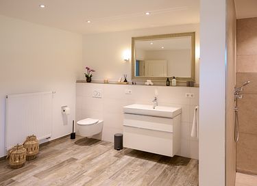 Ruim penthouse met privé wellness en balkon - 13