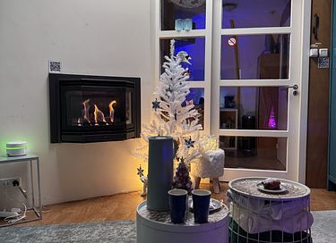 Iglo met privé sauna, buitendouche en tuin - 42