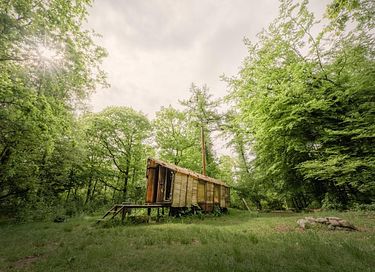 Uniek verblijf in het bos met privacy