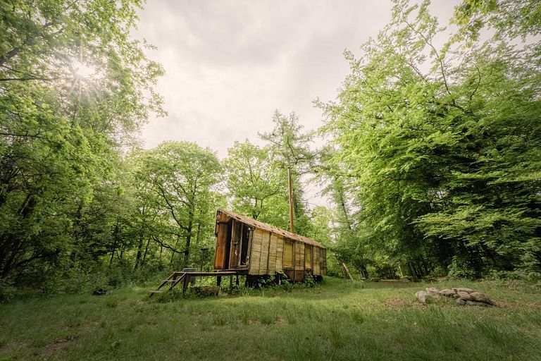 Uniek verblijf in het bos met privacy - 1
