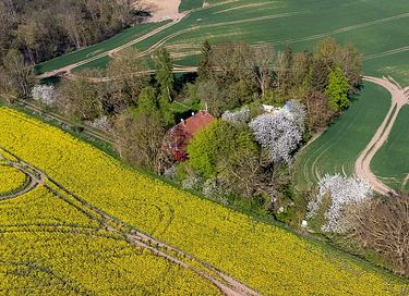 Rustic stay in rural setting - 36