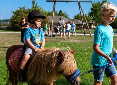 Glamping auf der Dairy & Calf Farm - 5