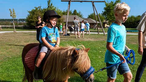 Glamping auf der Dairy & Calf Farm - 5