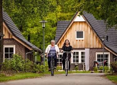 Four persons wellness lodge - 2