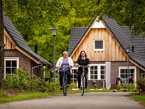 Four persons wellness lodge - 2
