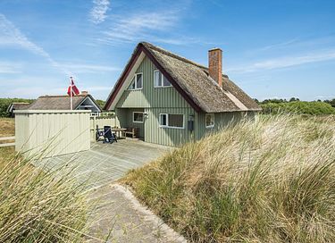 Rietgedekt vakantiehuis in Denemarken - 2