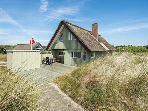 Rietgedekt vakantiehuis in Denemarken - 2