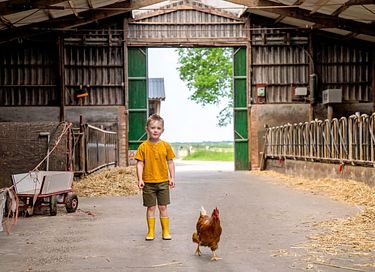 Glamping at Young Cattle Farm - 8