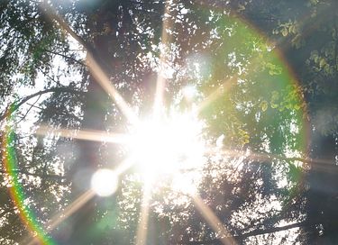 Glamping inclusief yoga / meditatie workshops - 12