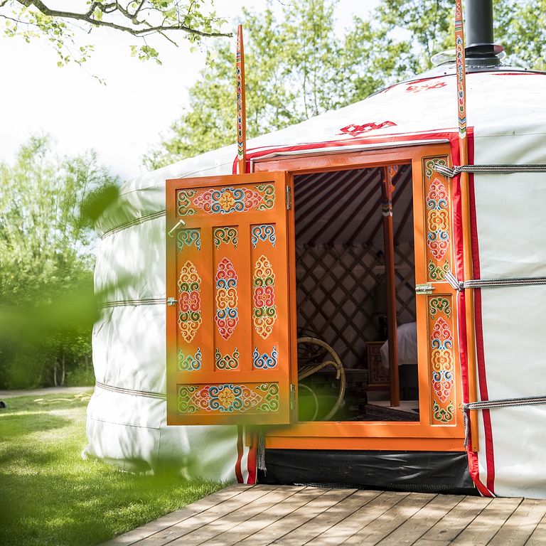 Spacious yurt in unique park in nature - 1