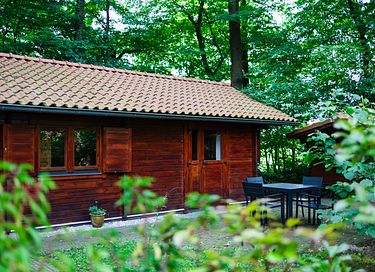 Cabane de randonneur en bois dans un cadre magnifique - 23