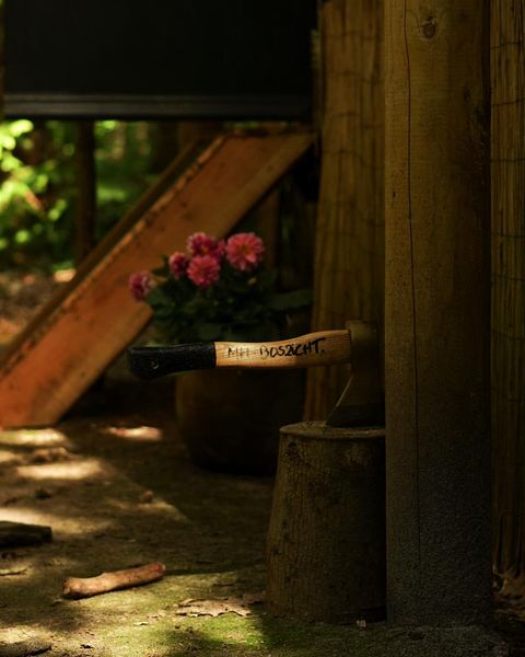 Hyggelig sigøjnervogn til naturelskeren - 3