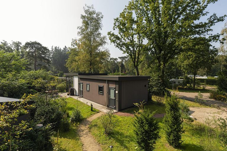 Tiny house op een vakantiepark op de Veluwe - 1