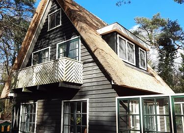 Fairytale forest cottage in Drenthe - 4