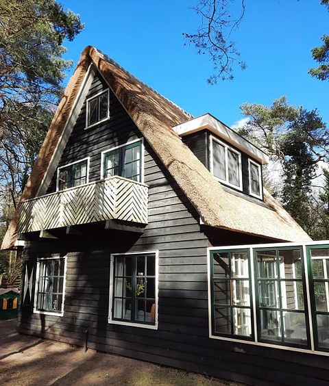 Fairytale forest cottage in Drenthe - 4