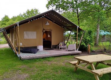 Slapen in een luxe safaritent in Drenthe - 1