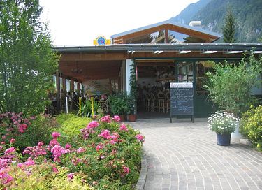4-persoons tiny house met prachtig uitzicht  - 16
