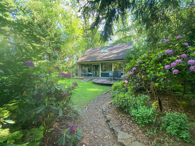 Chalet forestier confortable pour 5 avec grand jardin - 1