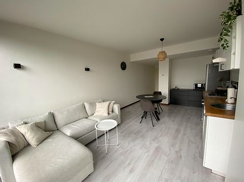Comfortable studio in quiet residential area - 4