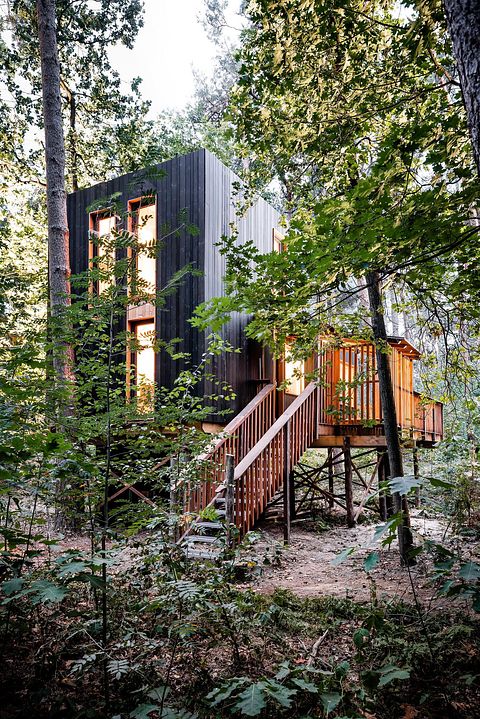 Unique treehouse (5p) with private hot tub - 4