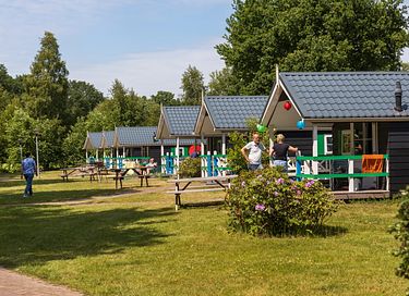 6-persoons vakantiehuisje in Overijssel - 10