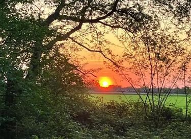 Sterren kijken vanuit je bed in deze glamping - 26