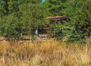 Belle cabane dans la nature en Gelderland - 8