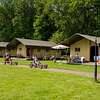 Glamping at Young Cattle Farm