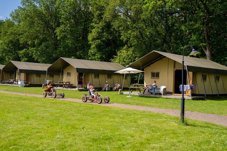Glamping at Young Cattle Farm - 1