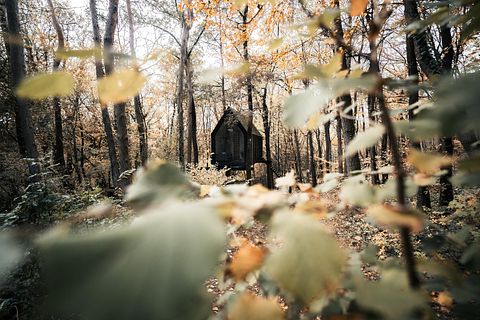Einzigartige Hütte zwischen den Bäumen in den Ardennen - 2