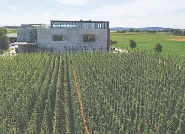 Stilvolle Villa in (8p) Westflandern - 34