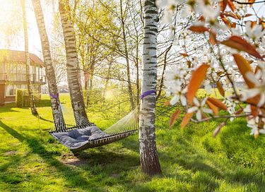Spend the night in a romantic spot in Twente - 17