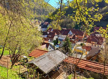 abin with a large gardenin the Harz Mountains - 4
