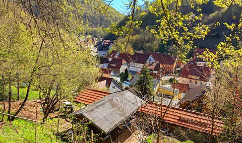 abin with a large gardenin the Harz Mountains - 4