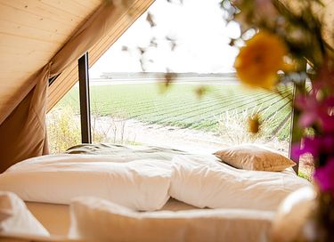 Geräumige Ferienwohnung an der niederländischen Küste
