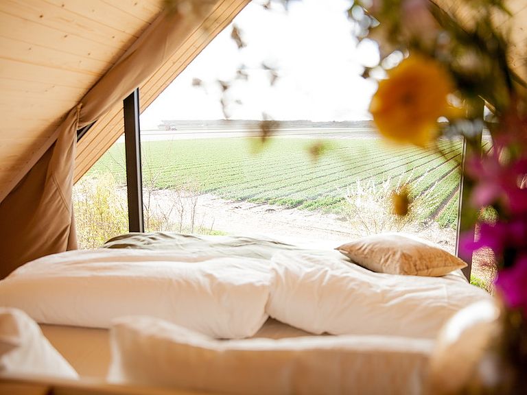 Logement de vacances spacieux sur la côte néerlandaise - 1