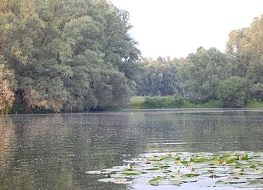 Unieke paardentram op een prachtige locatie - 23