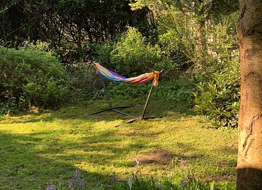 Mooi gelegen vakantiehuis midden op de Veluwe - 8