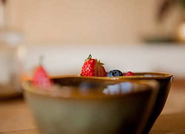 Logement de vacances spacieux sur la côte néerlandaise - 5