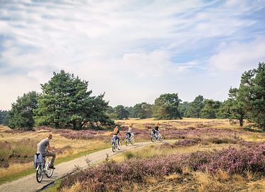 Heerlijk wellness vakantiehuis voor 5 pers.  - 19