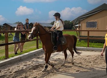 Glamping op een paardenboerderij - 13