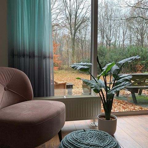 Vakantiehuis met knusse bedstee in Friesland - 3