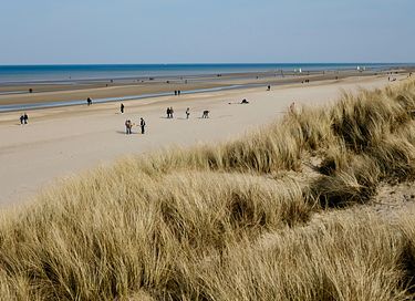 Moderne studio aan het strand in Koksijde - 17