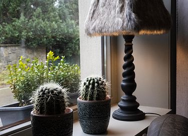 6-person cottage in the Ardennes - 13