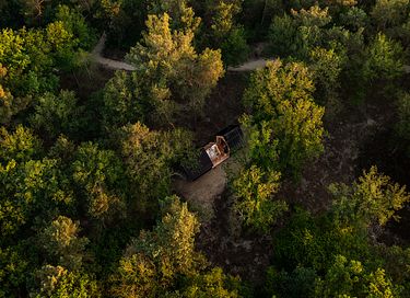 Unique nature cabin (dogs allowed) - 19