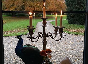 Bed and breakfast op een 17e eeuws landgoed - 13