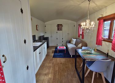 Cute shepherds hut with private hot tub in nature - 14