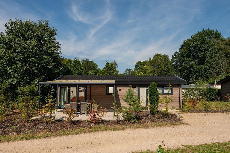 Lodge für 5 Personen auf der Veluwe - 1