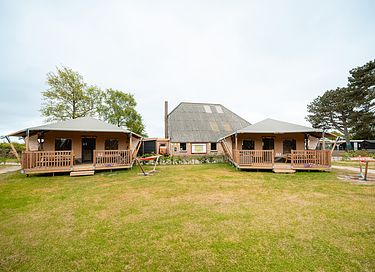 Safaritent aan de Nederlandse kust - 5